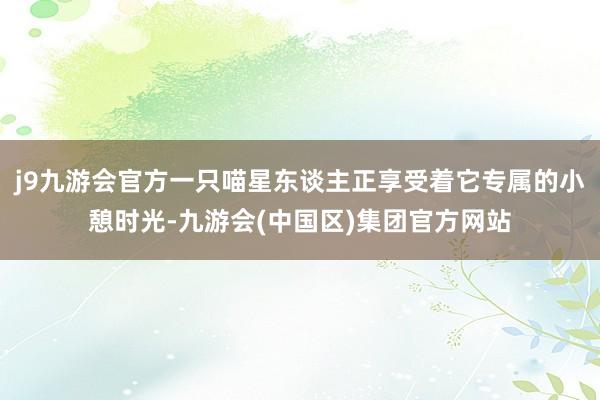 j9九游会官方一只喵星东谈主正享受着它专属的小憩时光-九游会(中国区)集团官方网站
