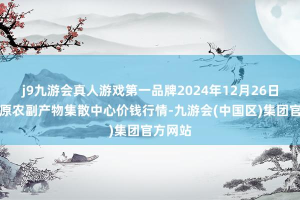 j9九游会真人游戏第一品牌2024年12月26日青藏高原农副产物集散中心价钱行情-九游会(中国区)集团官方网站