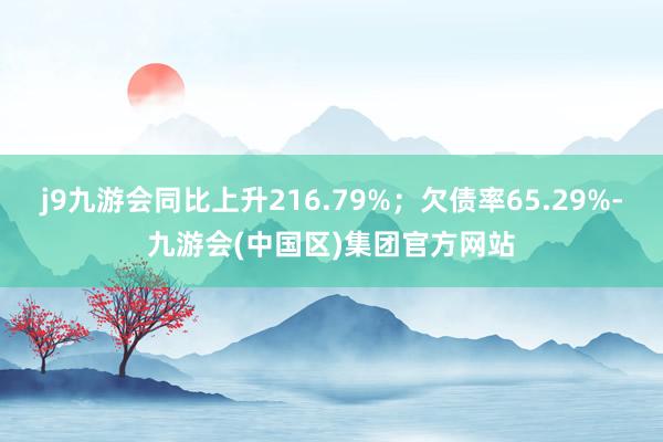 j9九游会同比上升216.79%；欠债率65.29%-九游会(中国区)集团官方网站
