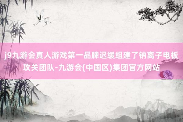 j9九游会真人游戏第一品牌迟缓组建了钠离子电板攻关团队-九游会(中国区)集团官方网站