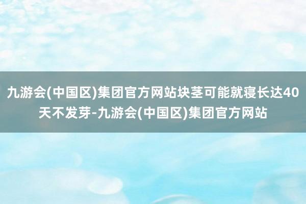 九游会(中国区)集团官方网站块茎可能就寝长达40天不发芽-九游会(中国区)集团官方网站