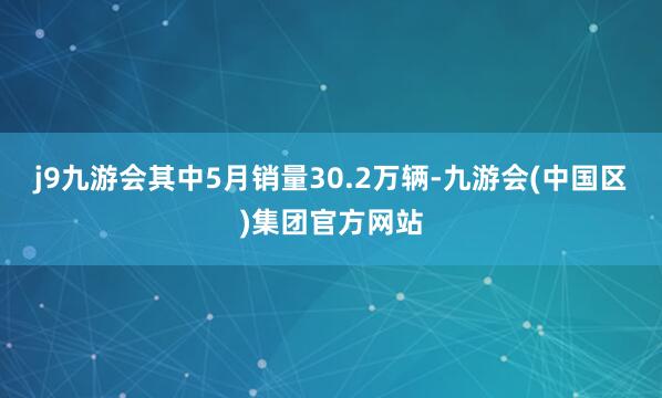 j9九游会其中5月销量30.2万辆-九游会(中国区)集团官方网站